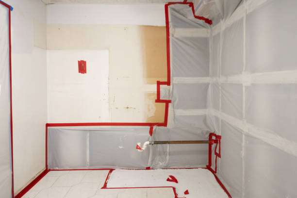 Best Post-Construction Mold Inspection  in Keyser, WV