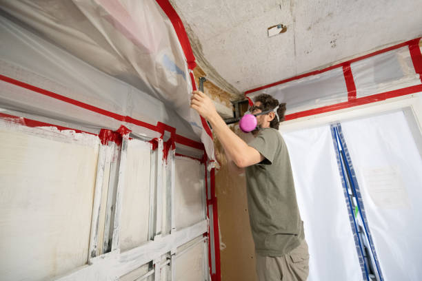 Best Water Damage & Mold Remediation  in Keyser, WV