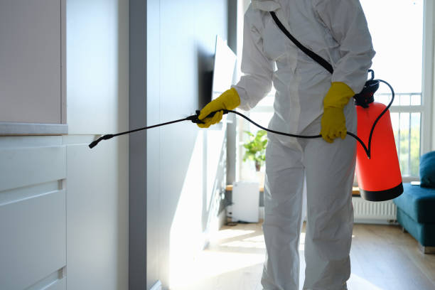 Best Airborne Mold Testing  in Keyser, WV