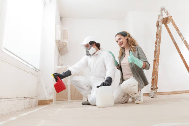 Best Environmental Consulting for Mold Prevention  in Keyser, WV