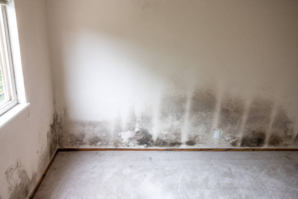 Best Indoor Air Quality Assessment  in Keyser, WV